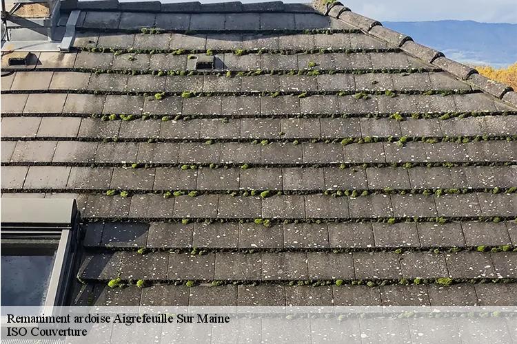 Remaniment ardoise  aigrefeuille-sur-maine-44140 ISO Couverture