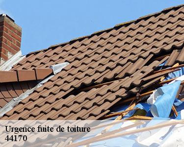 Urgence fuite de toiture  44170