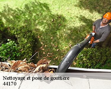 Nettoyage et pose de gouttière  44170