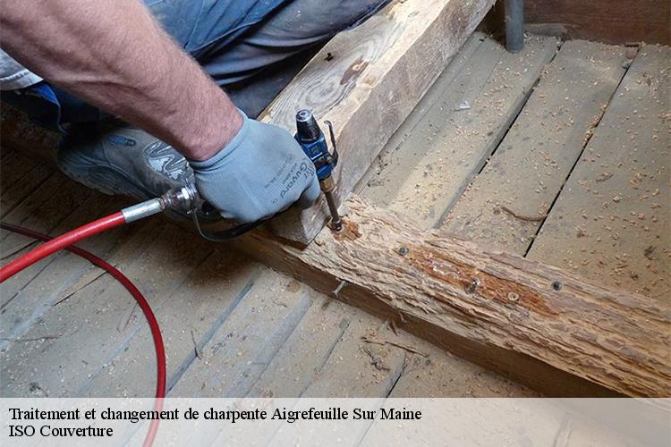 Traitement et changement de charpente  aigrefeuille-sur-maine-44140 ISO Couverture