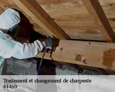 Traitement et changement de charpente  44460