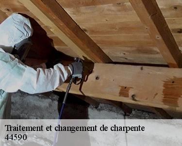 Traitement et changement de charpente  44590