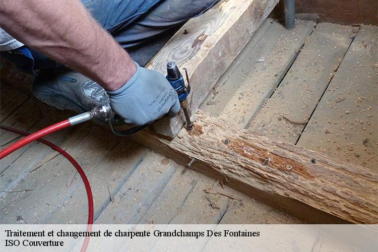 Traitement et changement de charpente  grandchamps-des-fontaines-44119 ISO Couverture