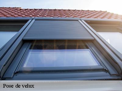 Pose de velux