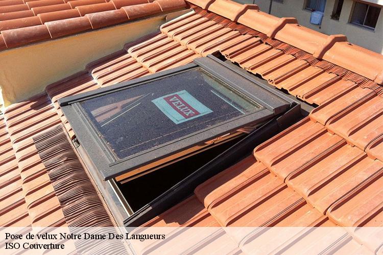 Pose de velux  notre-dame-des-langueurs-44440 ISO Couverture